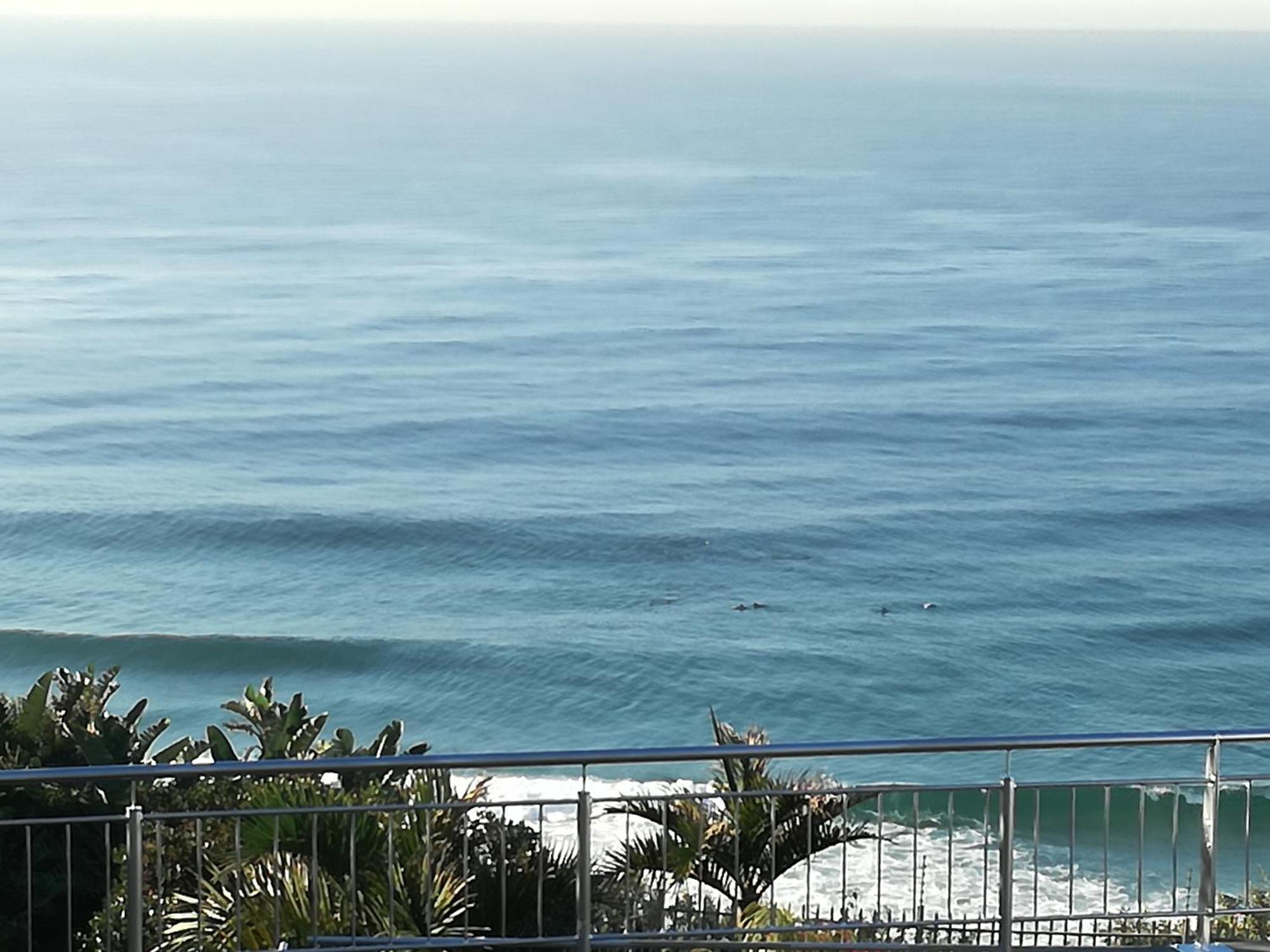 Dolphin Point B&B Durban Extérieur photo